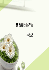 西点高效执行力和QBQ