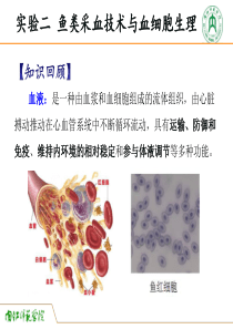 动物生理学实验二--鱼类采血技术与血细胞生理