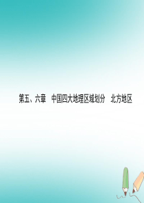 2018-2019学年中考地理总复习 八下 第五、六章课件