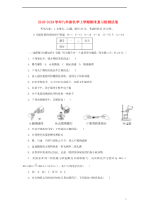 2018-2019学年九年级化学上学期期末复习检测试卷6