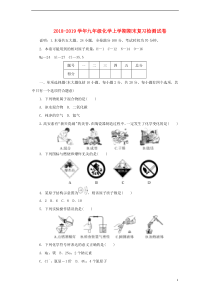 2018-2019学年九年级化学上学期期末复习检测试卷8