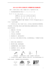 2018-2019学年九年级化学上学期期末复习检测试卷9