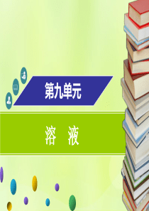 2018-2019学年九年级化学下册 第九单元 溶液 课题3 溶液的浓度 第1课时 溶质的质量分数课