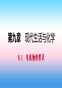 2018-2019学年九年级化学下册 第九章 现代生活与化学 9.1 有机物的常识同步练习课件 （新