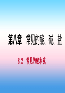 2018-2019学年九年级化学下册 第八章 常见的酸、碱、盐 8.2 第1课时“三酸”的特性和用途