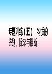 2018-2019学年九年级化学下册 第八章 常见的酸、碱、盐 专题训练（五）物质的鉴别、除尘与推断