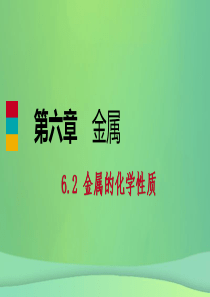 2018-2019学年九年级化学下册 第六章 金属 6.2 第1课时 认识金属的主要化学性质同步练习