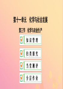 2018-2019学年九年级化学下册 第十一单元 化学与社会发展 第三节 化学与农业生产课件 （新版