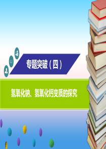 2018-2019学年九年级化学下册 第十一单元 盐、化肥 专题突破（四）氢氧化钠、氢氧化钙变质的探