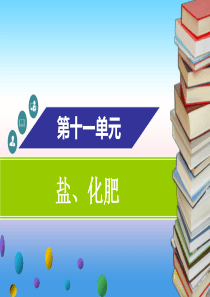 2018-2019学年九年级化学下册 第十一单元 盐、化肥 课题2 化学肥料课件 （新版）新人教版