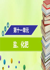 2018-2019学年九年级化学下册 第十一单元 盐、化肥章末小结课件 （新版）新人教版