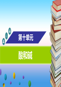 2018-2019学年九年级化学下册 第十单元 酸和碱 课题2 酸和碱的中和反应 第2课时 溶液酸碱