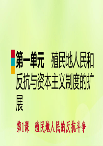 2018-2019学年九年级历史下册 第一单元 殖民地人民的反抗与资本主义制度的扩展 第1课 殖民地