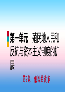 2018-2019学年九年级历史下册 第一单元 殖民地人民的反抗与资本主义制度的扩展 第2课 俄国的