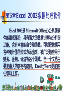 计算机文化基础excel2003电子表格软件