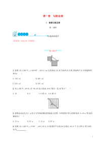 2018-2019学年八年级数学上册 第一章 勾股定理 1.1 探索勾股定理（第1课时）同步练习 （