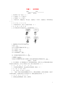 2018-2019学年度九年级化学期末专项训练 专题二 化学用语 鲁教版