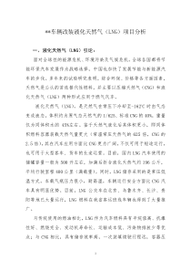 车辆改装LNG项目分析报告