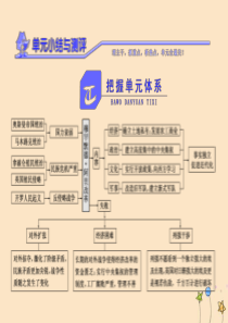 2018-2019学年高中历史 第六单元 穆罕默德•阿里改革单元小结与测评课件 新人教版