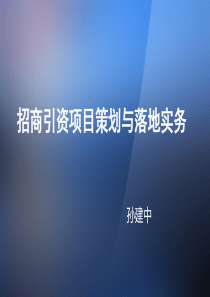 招商引资项目策划与落地实务