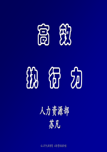 高效执行力培训课件—苏凡(企业内训必备之宝)