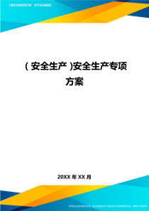 2020年(安全生产)安全生产专项方案