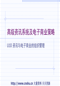 资讯与电子商业的组织管理(PPT40页)