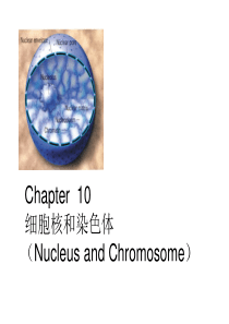 Chapter11-nucleu