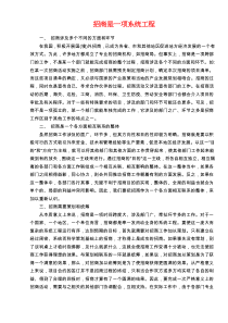 招商是一项系统工程doc32(1)