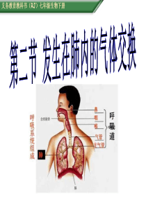 第三章第二节-发生在肺内的气体交换(好)讲解