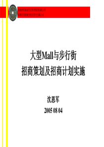 招商策略和招商计划实施