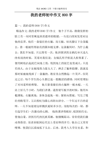 我的老师初中作文800字