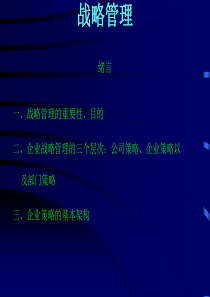 mba全套教材_战略管理2