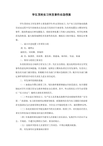 学生顶岗实习突发事件应急预案