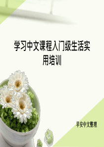 学习中文课程入门级生活实用培训