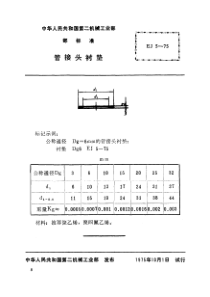 EJT 5-1975管接头衬垫