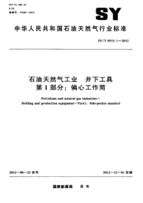 SY∕T 6915.1-2012 石油天然气工业 井下工具 第1部分偏心工作筒