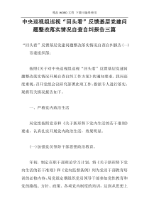 中央巡视组巡视“回头看”反馈基层党建问题整改落实情况自查自纠报告三篇