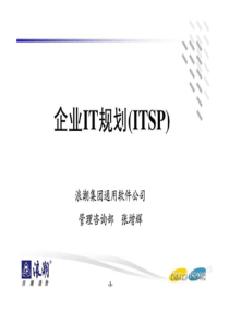 企业IT规划(ITSP)