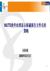 NUTS软件处理显示核磁报告文件名的策略