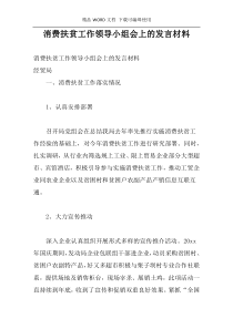 消费扶贫工作领导小组会上的发言材料