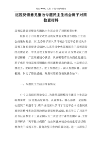 巡视反馈意见整改专题民主生活会班子对照检查材料