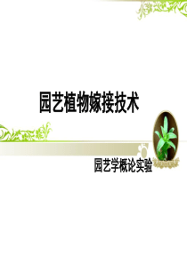 园艺植物嫁接技术(实验)