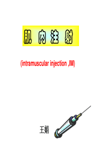 肌肉注射法-PPT课件