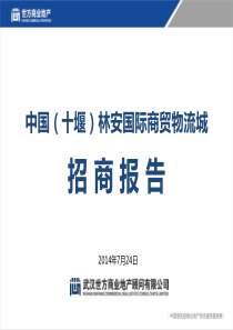 林安国际商贸物流城招商报告