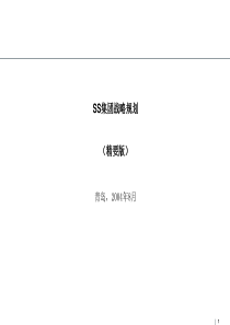 ss集团战略规划