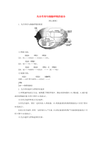 2019-2020年新教材高中生物 第5章 素能提升课 光合作用与细胞呼吸的综合教案 新人教版必修1