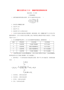 2019-2020年新教材高中生物 课时分层作业16 细胞呼吸的原理和应用（含解析）新人教版必修1