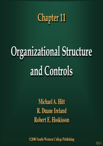 StructureandControls(战略管理,英文版)