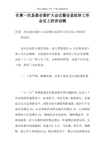 在第一次县委全委扩大会议暨全县经济工作会议上的讲话稿